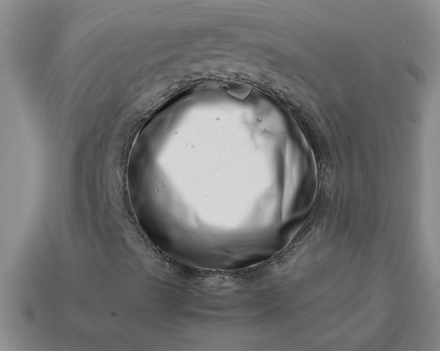 X0000113991489200910161634