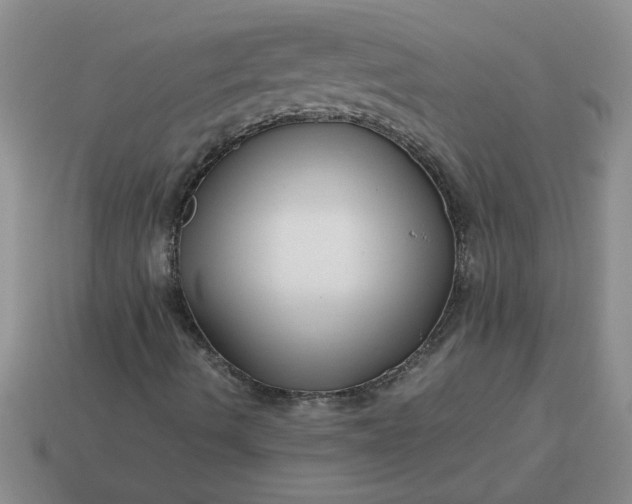 X0000113991490200910161634