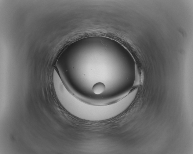 X0000113991492200910161634