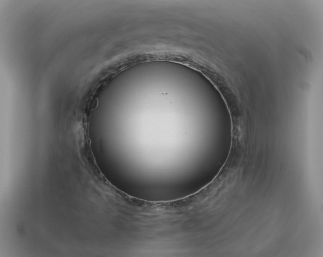 X0000113991493200910161634