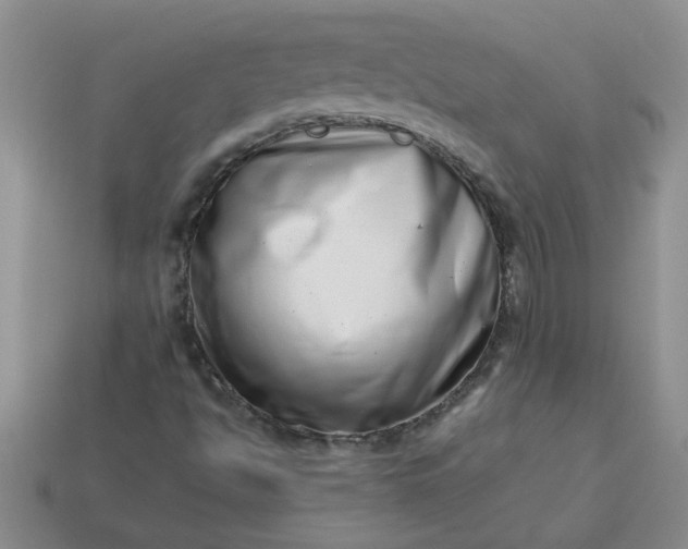 X0000113991494200910161634