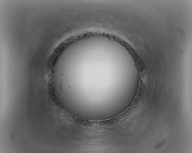 X0000113991495200910161634