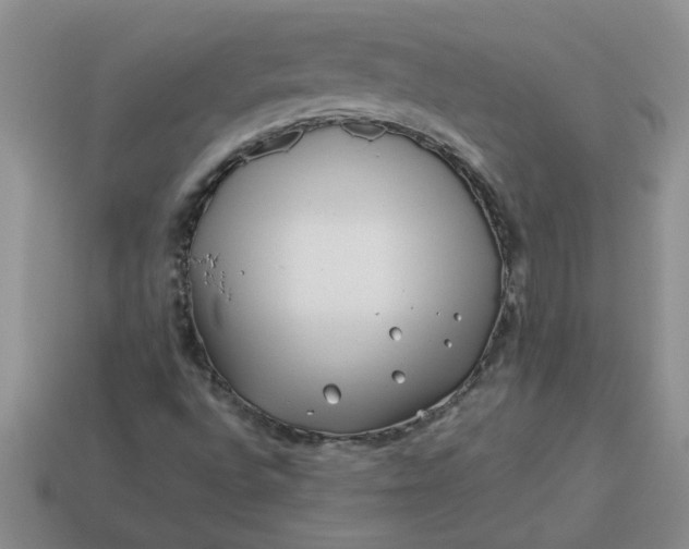 X0000113991496200910161634