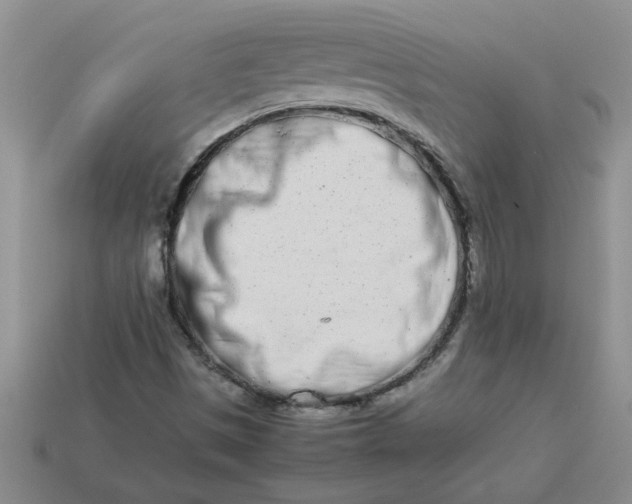 X0000113991497200910161634