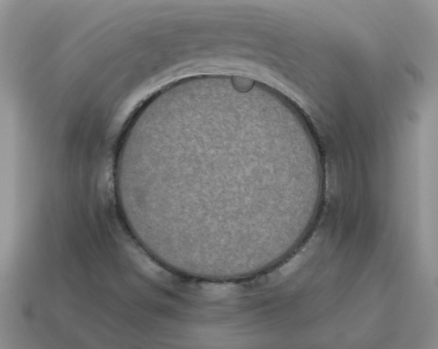 X0000113991498200910161634