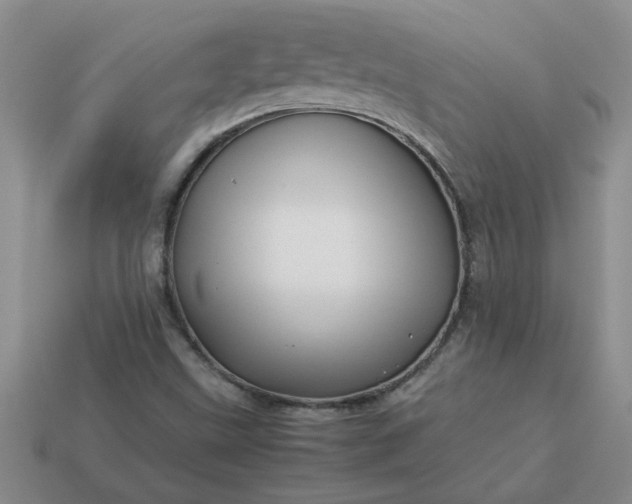 X0000113991499200910161634