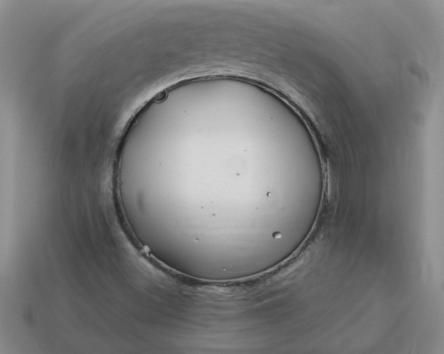 X0000113991500200910161634