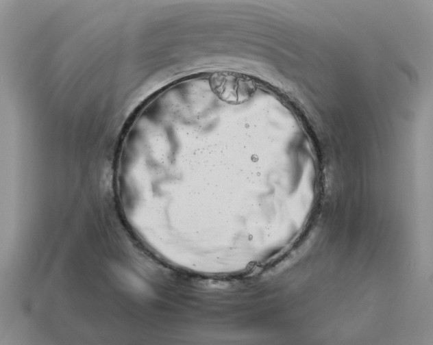 X0000113991505200910161634