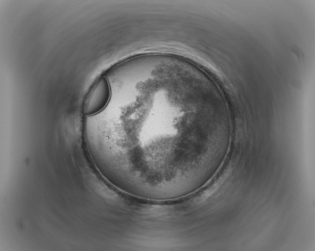 X0000113991506200910161634