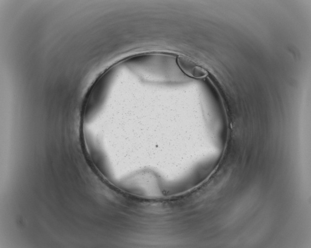 X0000113991508200910161634