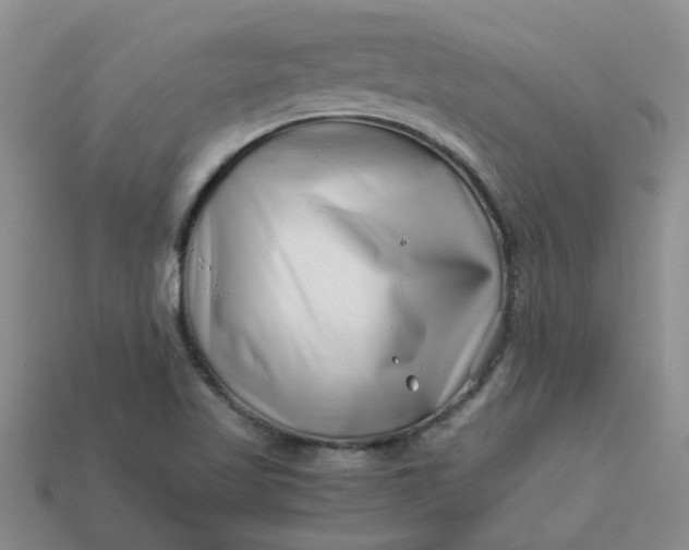 X0000113991509200910161634