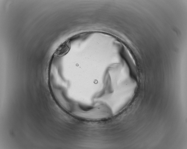 X0000113991512200910161634