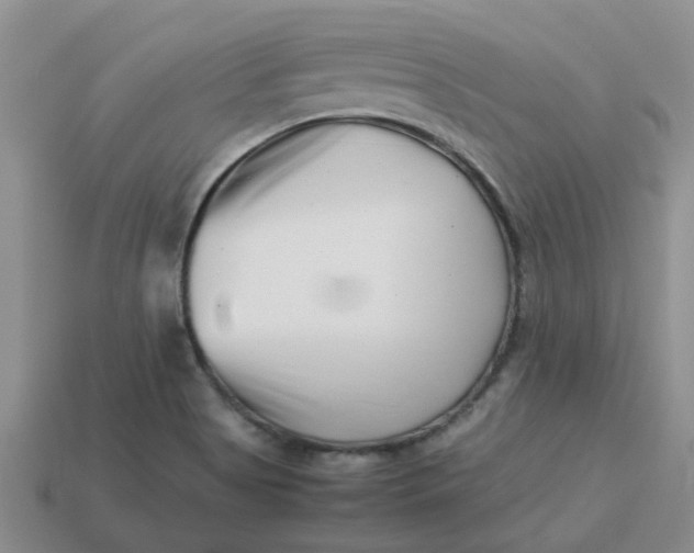 X0000113991513200910161634