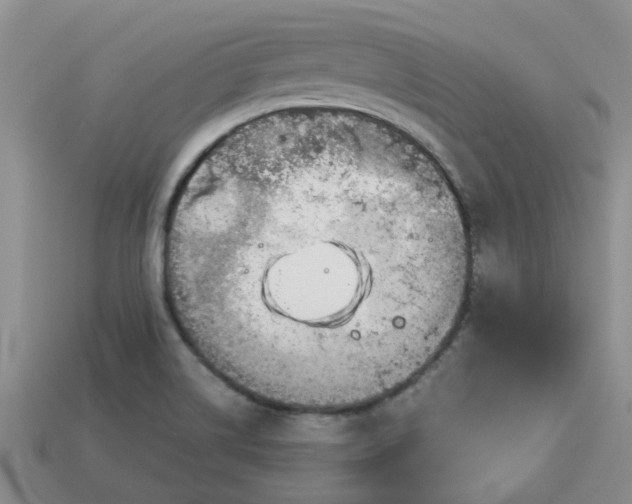 X0000113991514200910161634