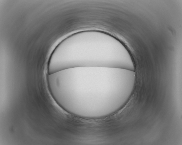 X0000113991516200910161634