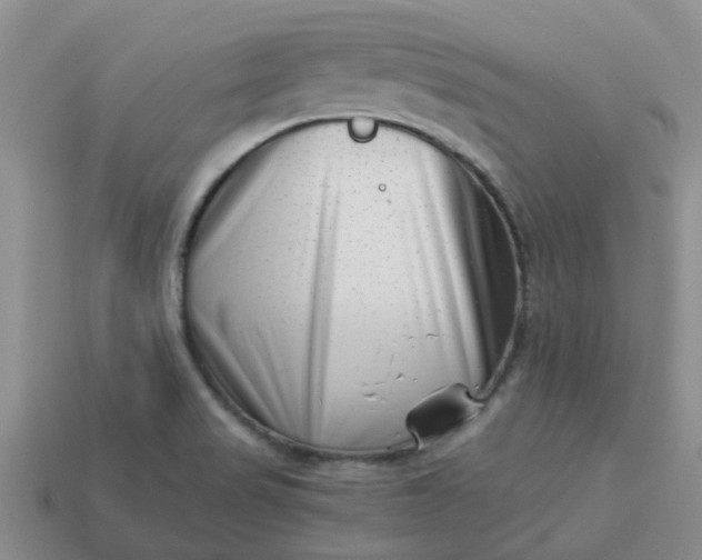 X0000113991517200910161634