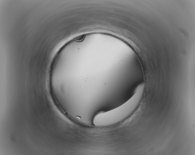 X0000113991518200910161634