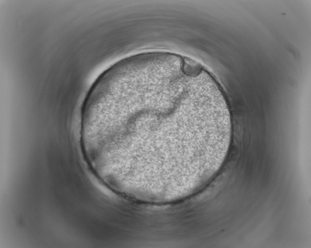 X0000113991519200910161634