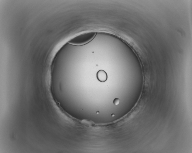 X0000113991520200910161634