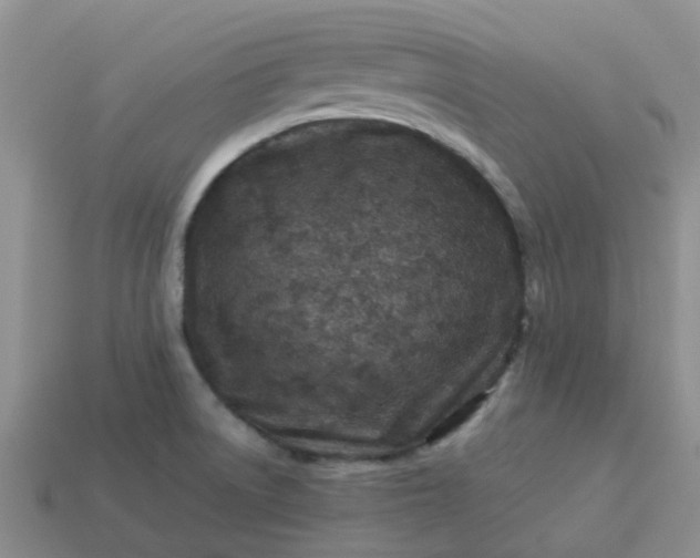 X0000113991522200910161634