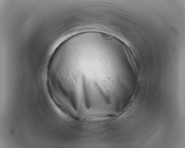 X0000113991523200910161634