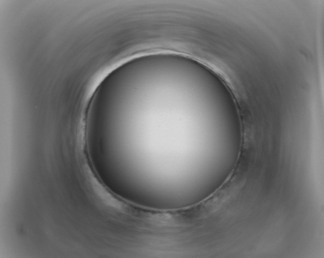 X0000113991524200910161634