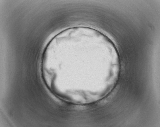 X0000113991525200910161634