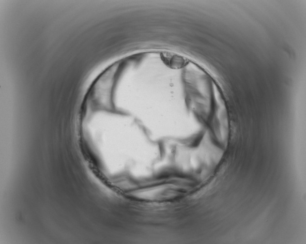 X0000113991527200910161634