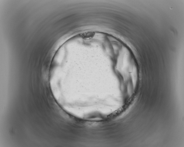 X0000113991529200910161634