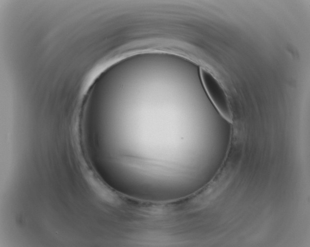 X0000113991530200910161635