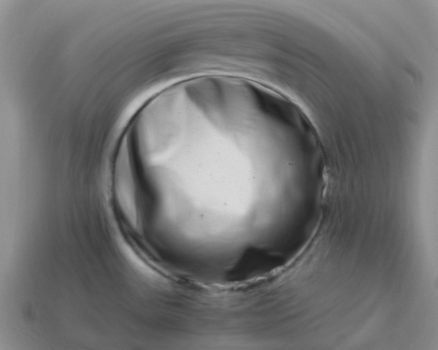 X0000113991531200910161635