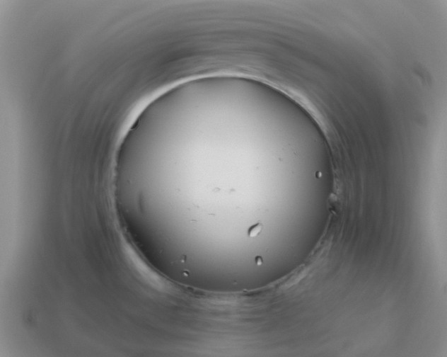 X0000113991532200910161635