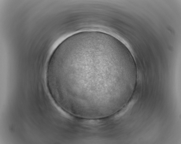 X0000113991533200910161635