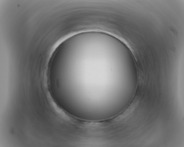 X0000113991534200910161635