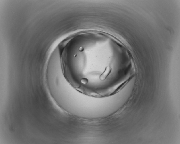 X0000113991536200910161635