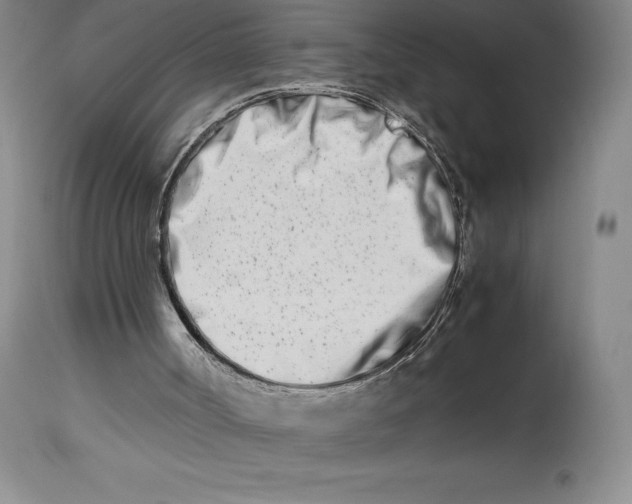 X0000113990002200910231740