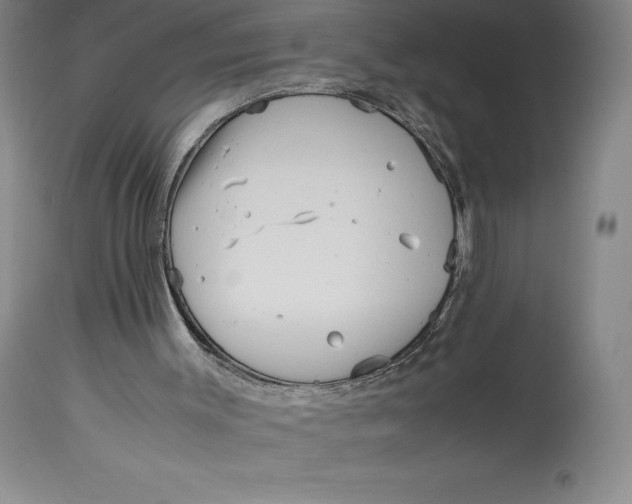 X0000113990003200910231740