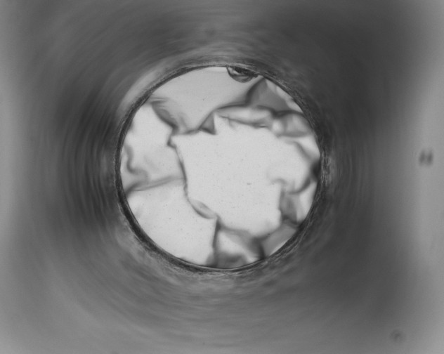 X0000113990004200910231740