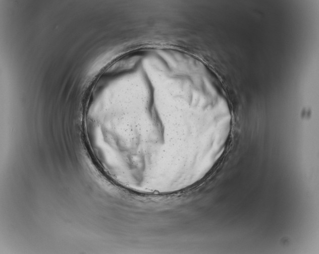 X0000113990005200910231740