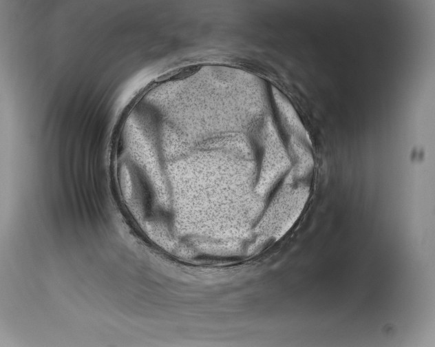 X0000113990006200910231740