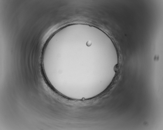 X0000113990007200910231740