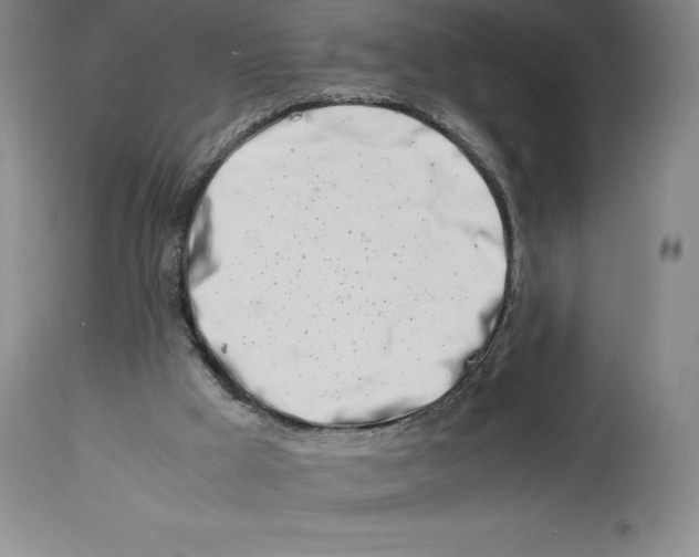 X0000113990009200910231740