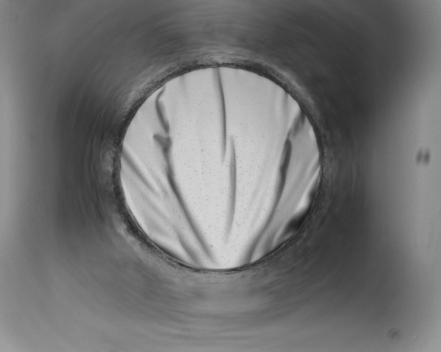 X0000113990010200910231740