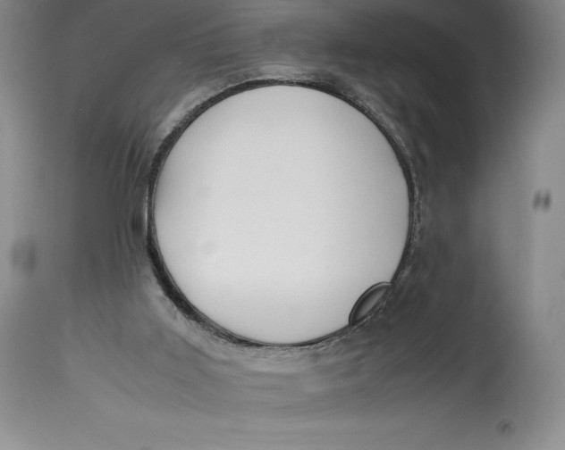 X0000113990011200910231740