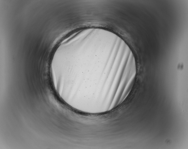 X0000113990012200910231740