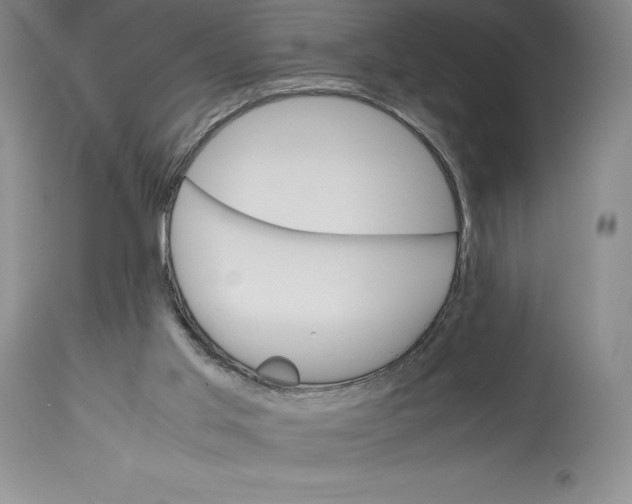 X0000113990013200910231740