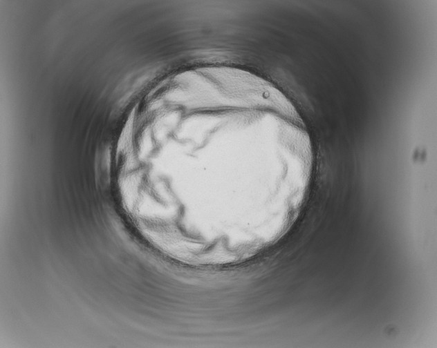 X0000113990014200910231740