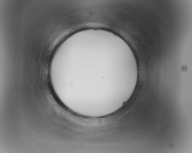 X0000113990015200910231740