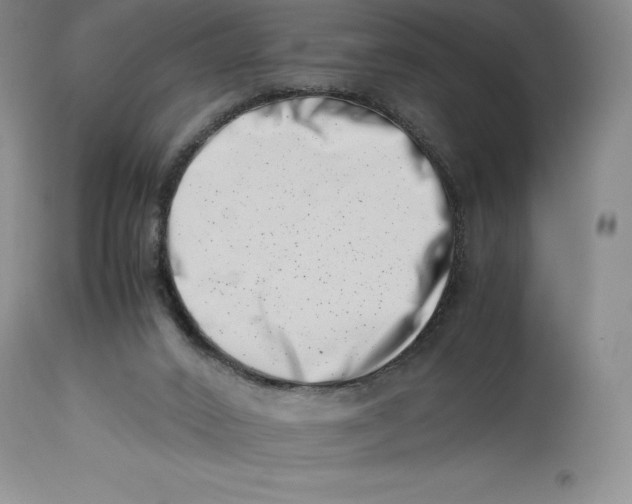 X0000113990016200910231739