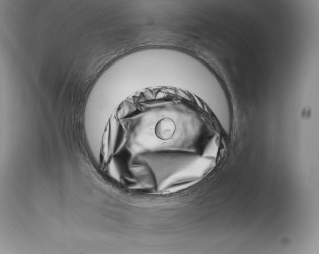 X0000113990017200910231739